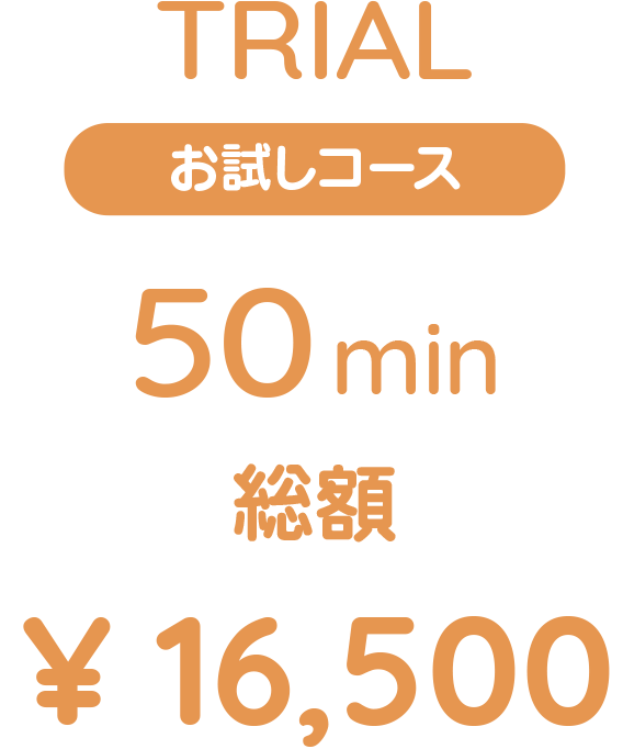 お試しコース 50分 総額16,500円