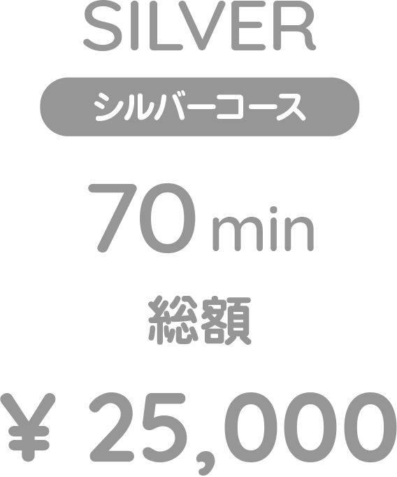 シルバーコース 70分 総額25,000円